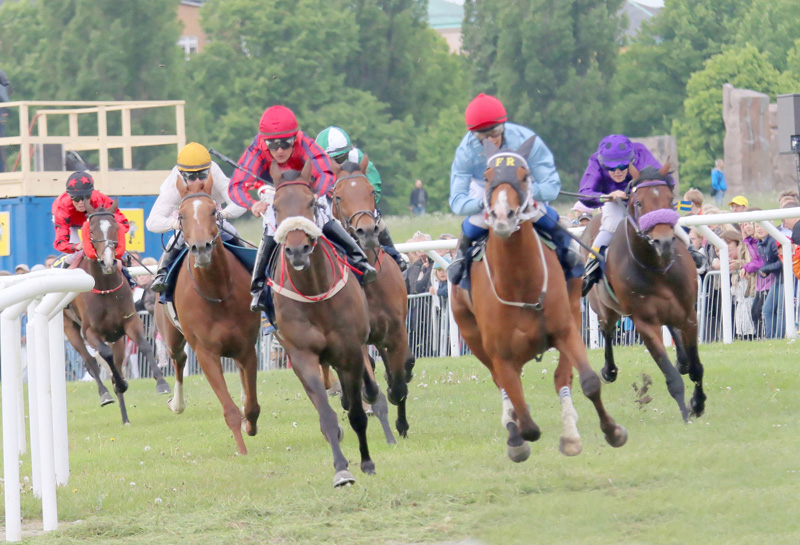 第4コーナー 競馬